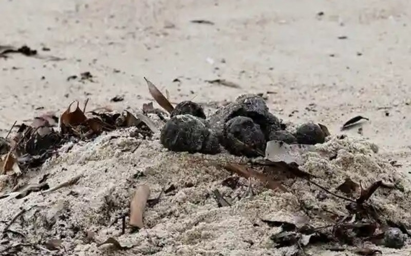 Cierran dos playas de Sídney al aparecer miles de misteriosas bolas negras de alquitrán