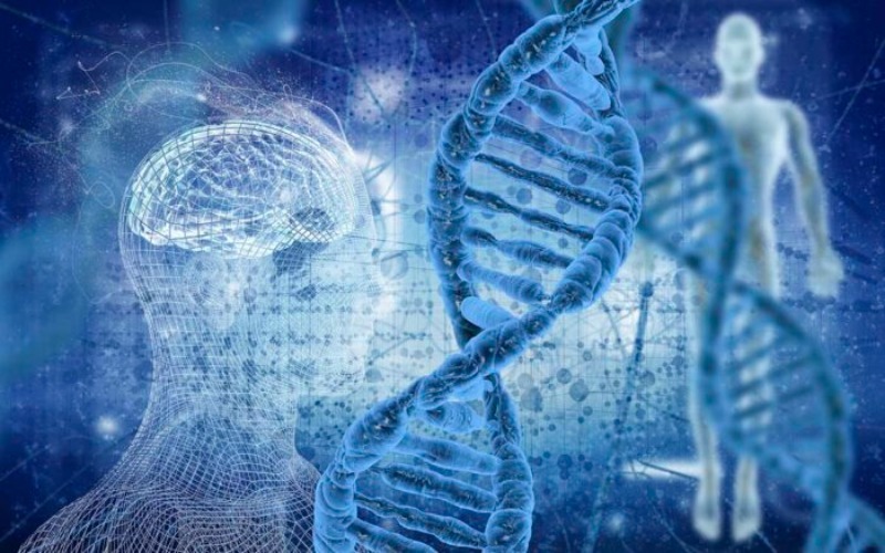 Científicos revelan que la herencia genética influye en los efectos adversos que producen los fármacos