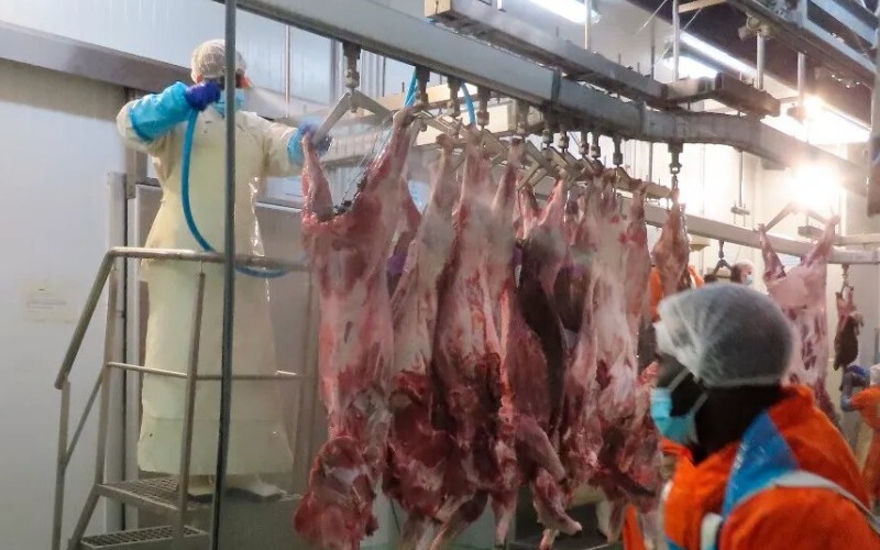 Desmantelan en un garaje una sala de despiece y elaboración cárnica ilegal con 550 kilos
