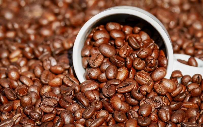 La papa y el café ocupan el 80% de la producción de Mérida
