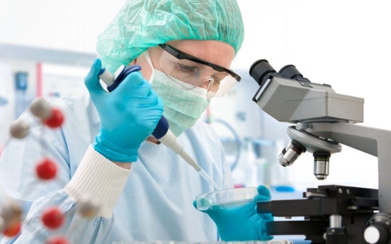 Crean vacuna bacteriana que logra suprimir el cáncer en ratones