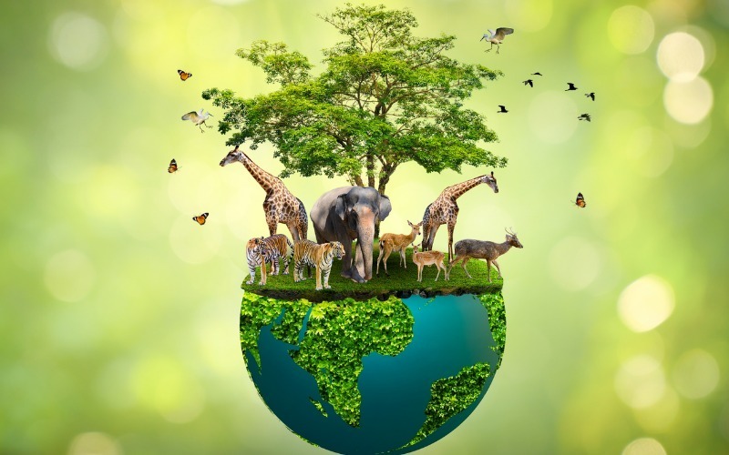 Día Mundial de los Animales