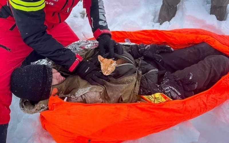 Sobrevivió a las bajas temperaturas de una tormenta  de nieve gracias a su gatito