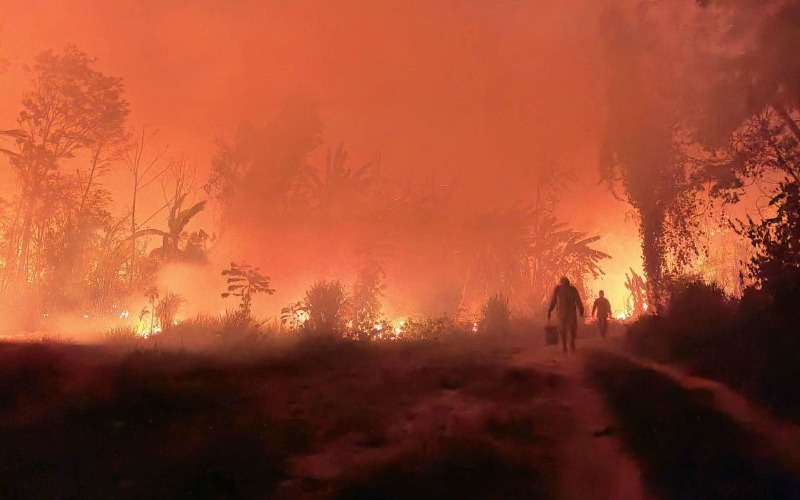 Incendios forestales devastaron 9,8 millones de hectáreas en Bolivia
