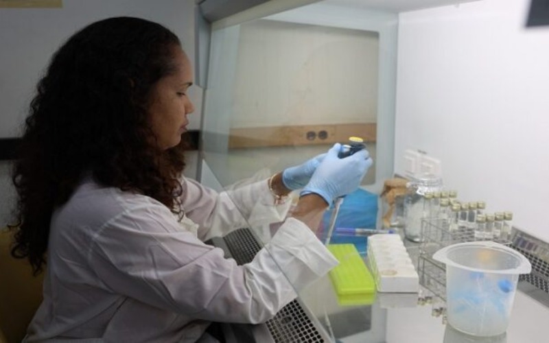 IVIC aporta a la prevención y control de la leptospirosis en Venezuela