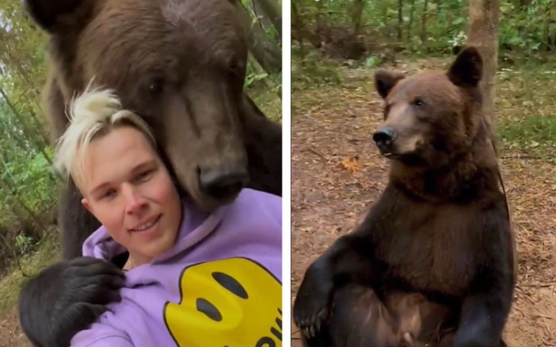 Familia de osos juega con hombre ruso