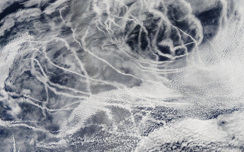 Nuevo satélite PACE de la NASA detecta olas de calor marinas de meses en el Pacífico