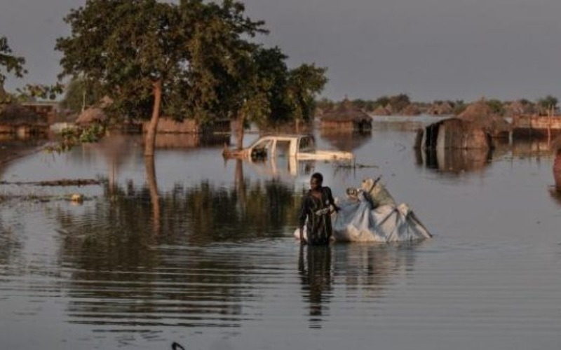 Diez personas fallecen en Sudán del Sur por mordeduras de serpientes tras fuerte inundación