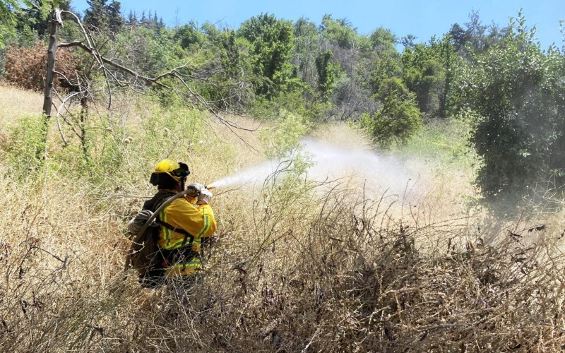 Chile construirá casi 4.000 kilómetros de cortafuegos para prevenir incendios