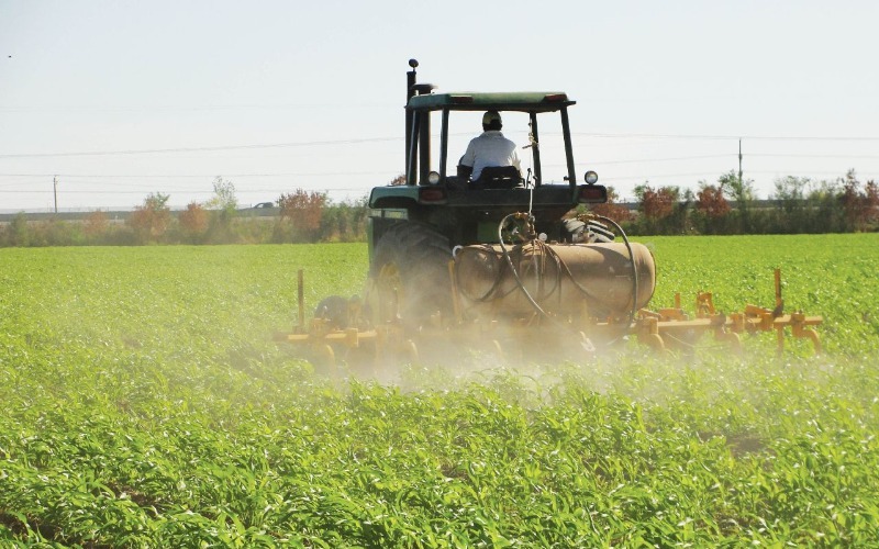 Preparan lanzamiento de plataforma digital de financiamiento para el sector agrícola