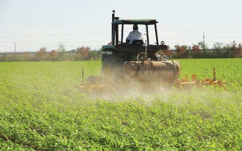 Fedeagro requiere financiamiento para incrementar siembra de soya y caraotas 2024-2025