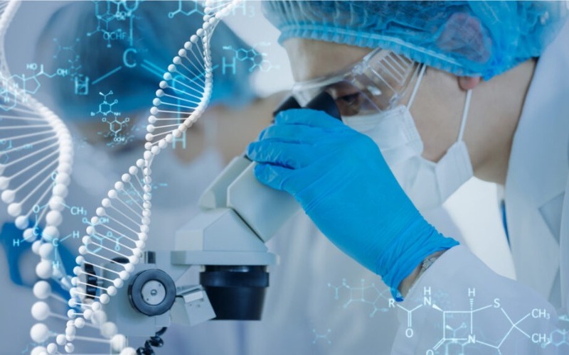 Estudio sobre la resistencia a fármacos del cáncer abre la puerta a nuevas terapias