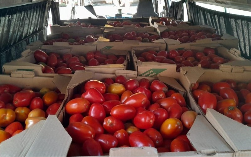 Paraguay exporta su primera carga de tomates a Argentina
